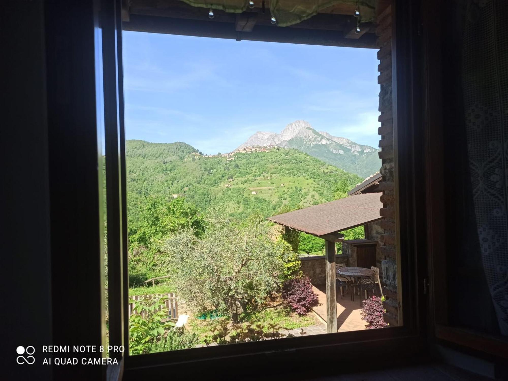 Agriturismo Summer Gallicano 部屋 写真